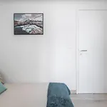 Apartment Platinum
