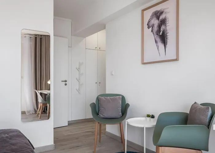 Super Platinum פונשל